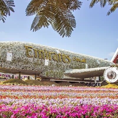 Dubai Miracle Garden Tickets with Round Trip Transfer