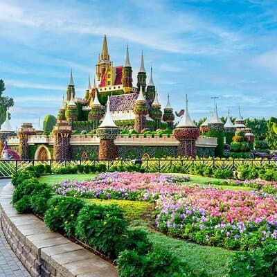 Dubai Miracle Garden Tickets with Round Trip Transfer 5