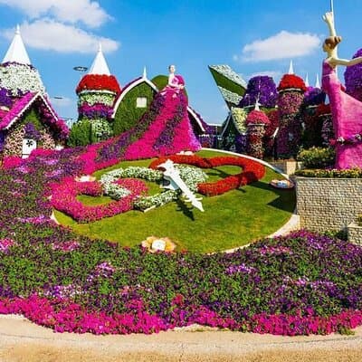 Dubai Miracle Garden Tickets with Round Trip Transfer 3