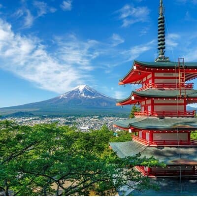 VIP Mt. Fuji and Hakone Customized Private One Day Tour. 2