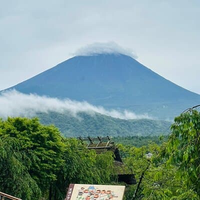 VIP Mt. Fuji and Hakone Customized Private One Day Tour. 3