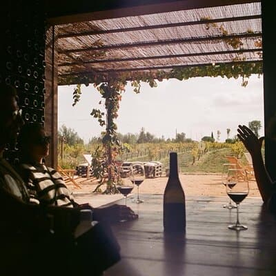 From Barcelona Wine Tasting in 2 Priorat Wineries and Food 3