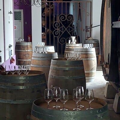 Small Group Wine, Bread & Cheese Experience with Farmhouse Lunch 3