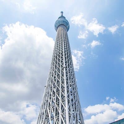 Tokyo Skytree, Asakusa, and Imperial Palace 1/2-Day Private Tour 3