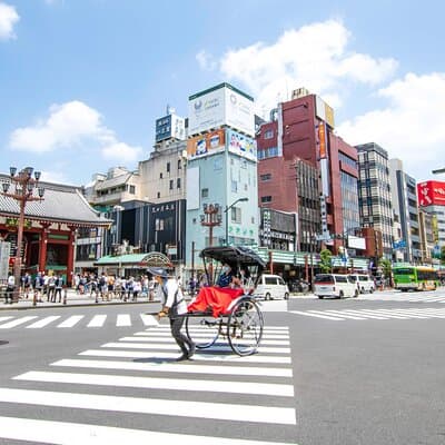 Tokyo Skytree, Asakusa, and Imperial Palace 1/2-Day Private Tour 2