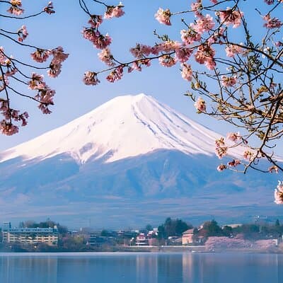 Tokyo Mt Fuji & Kawaguchiko Ropeway & Matcha Tea Group Trip