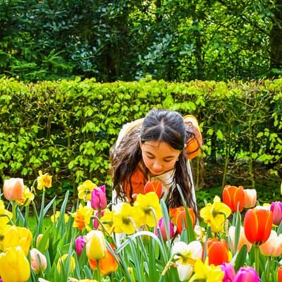 Keukenhof Luxury Private tour w. Canal Cruise & Tulip Experience 3