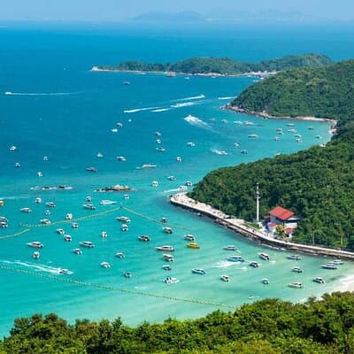 Pattaya Koh Larn Island and Truth Sanctuary Day Tour