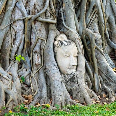 Ayutthaya Summer Palace and Temples Day Tour from Bangkok 2