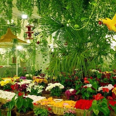 Butterfly Garden Dubai Ticket 2