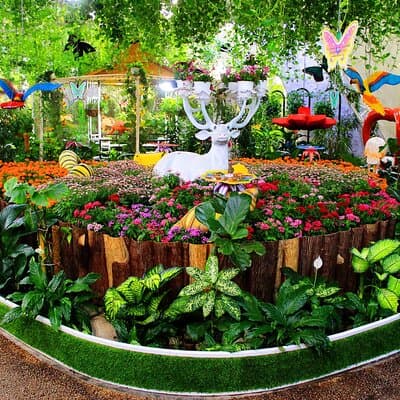 Butterfly Garden Dubai Ticket 3