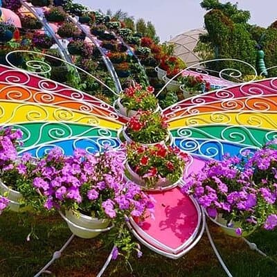 Butterfly Garden Dubai Ticket 4