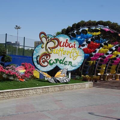 Butterfly Garden Dubai Ticket 5