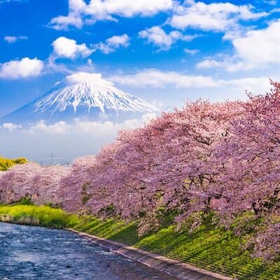 Mt Fuji Kawaguchi or Hakone customize private charter car service 5