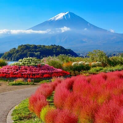 Mt Fuji Kawaguchi or Hakone customize private charter car service 2