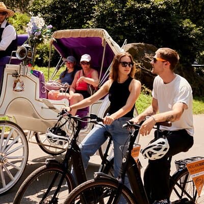 Central Park Bike Tour – Explore in Comfort on Dutch Bikes!