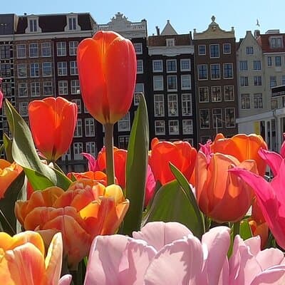 Amsterdam Highlights and Hidden Gems Walking Tour with Fun Guide 2