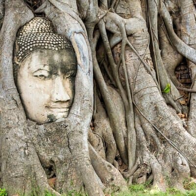 City Heritage Day Tour - Route A: United Nations World Heritage Ayutthaya UNESCO World HeritageDay Tour