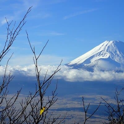 Mt. Fuji Private Customized Day Tour 2