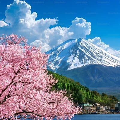Mt. Fuji Private Customized Day Tour 3