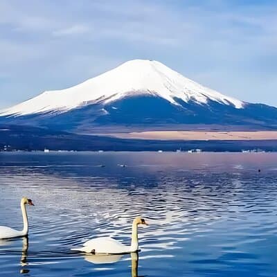 Mt. Fuji Private Customized Day Tour 5