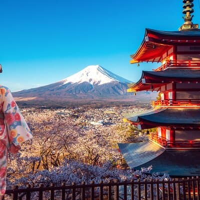 Mt Fuji Kawaguchi or Hakone customize private charter car service 3