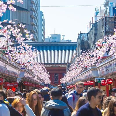 Private Asakusa tour to introduce you to some unusual places