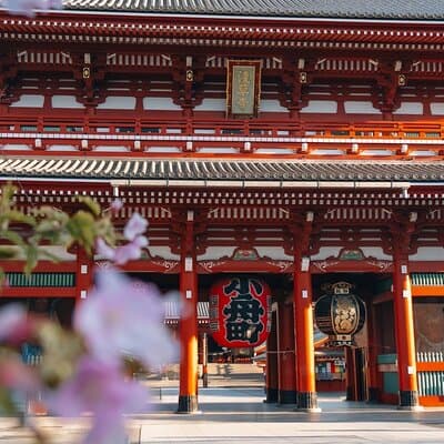 Tokyo Early Morning Tour Asakusa Meiji Shrine (Private Opt)