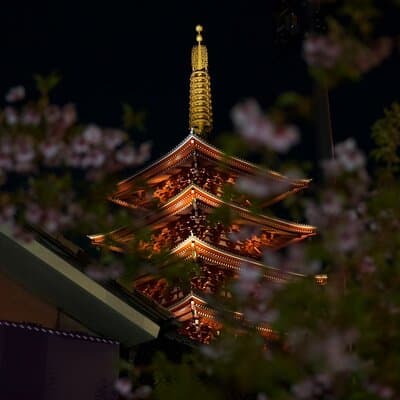 Asakusa Night Evening Walking Tour with English-Speaking Guide 3