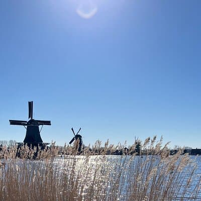 Amsterdam: Private Tour Windmills, Castle and Volendam 4