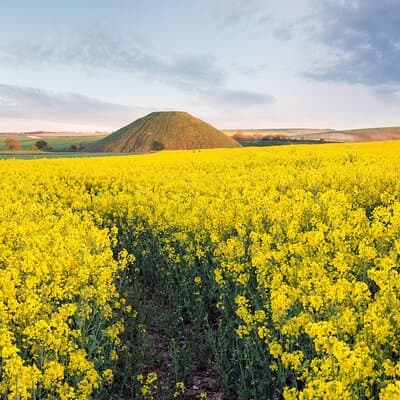 Expert Archaeologist - Private Stonehenge, Bath and Avebury Tour 3