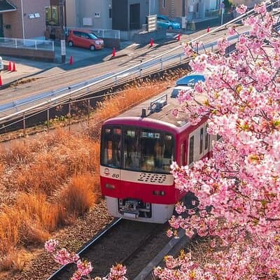 Best of Tokyo Private Tour English Driver &Customizable Itinerary 5