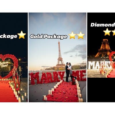 Proposal in Paris
