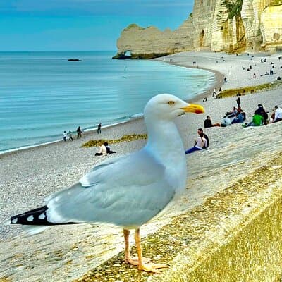 Day Trip from Paris Rouen Etretat and Deauville