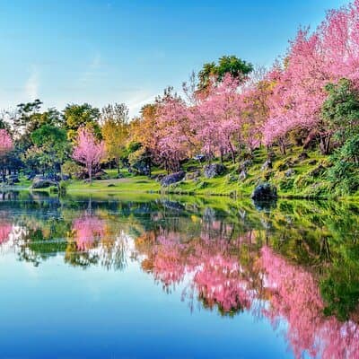 Tokyo Private Tour with Native Japanese Driver