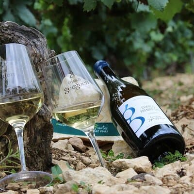 Private Wine Tasting Tour in Chablis Burgundy from Paris 5