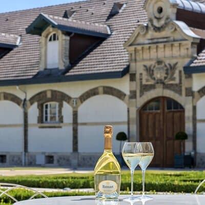 Ruinart Champagne Reims Private Half day trip from Paris 2