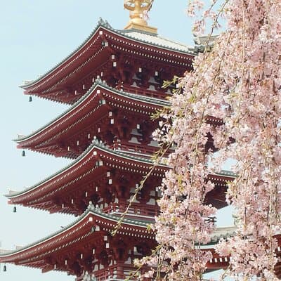 Tokyo City Adventures Private English Tour With Hotel Pickup 5