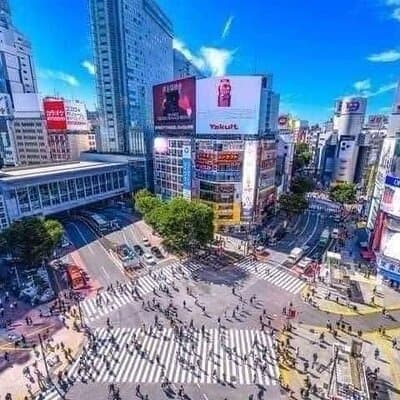 Best of Tokyo Private Tour English Driver &Customizable Itinerary