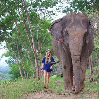 Living Green Elephant Sanctuary Tour from Bangkok and Pattaya