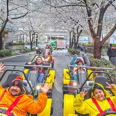 Go Kart Tokyo Spring Tour Experience 2