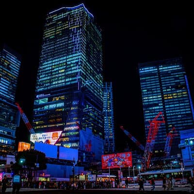 Customizable car tours in Tokyo 2