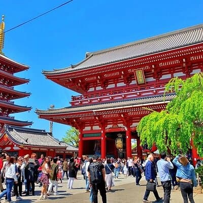 Explore Tokyo’s History on Foot Asakusa Kappabashi and Ueno 3