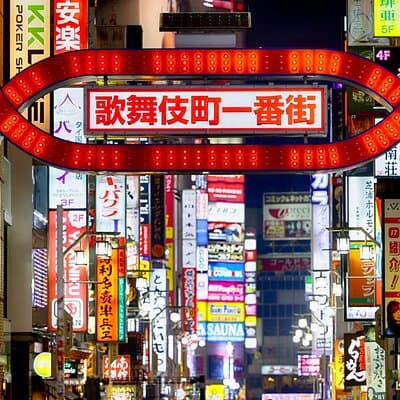 Tokyo After Dark Shinjuku Tour of Tradition and Pop Culture