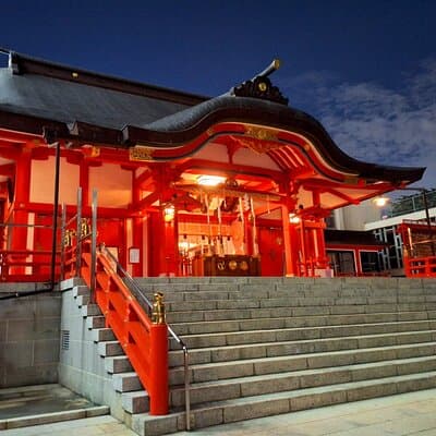 Tokyo After Dark Shinjuku Tour of Tradition and Pop Culture 2