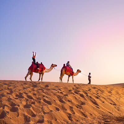 Dubai Desert Safari with BBQ, Camel Ride, Sand Board, Live Shows 4