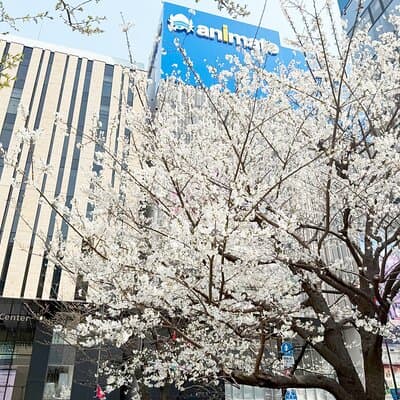 Ikebukuro Anime and Game Culture Experience Tour 2