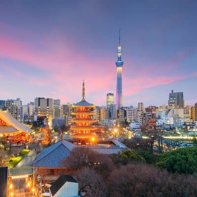 Tokyo Private Group Tour – Flexible Schedule and Stops