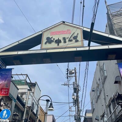 Yanaka & Ueno Tokyo's Old Town Charm - Temple, market,Retro Vibes 4