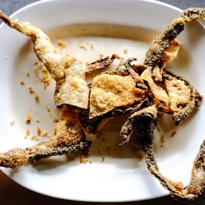 Bizarre Food Challenge 5